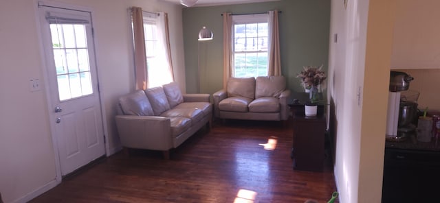 1972 N Colgate Ave, Springfield, MO 65802 - living area featuring dark wood-style flooring