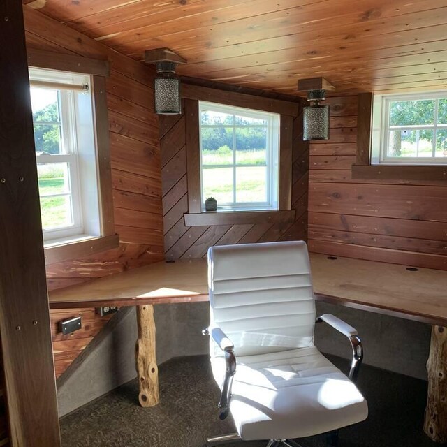 200 NE 90th Ln, Lamar, MO 64759 - relaxing sauna featuring wooden ceiling and wood walls