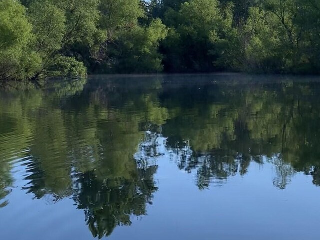 200 NE 90th Ln, Lamar, MO 64759 - water view with a forest