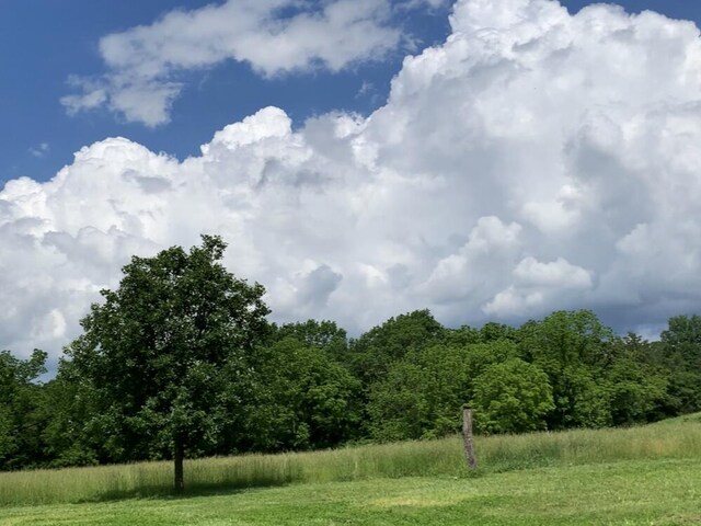 200 NE 90th Ln, Lamar, MO 64759 - view of yard with a forest view