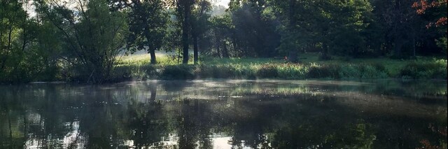 200 NE 90th Ln, Lamar, MO 64759 - water view with a heavily wooded area