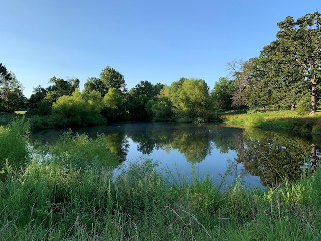 200 NE 90th Ln, Lamar, MO 64759 - water view featuring a forest