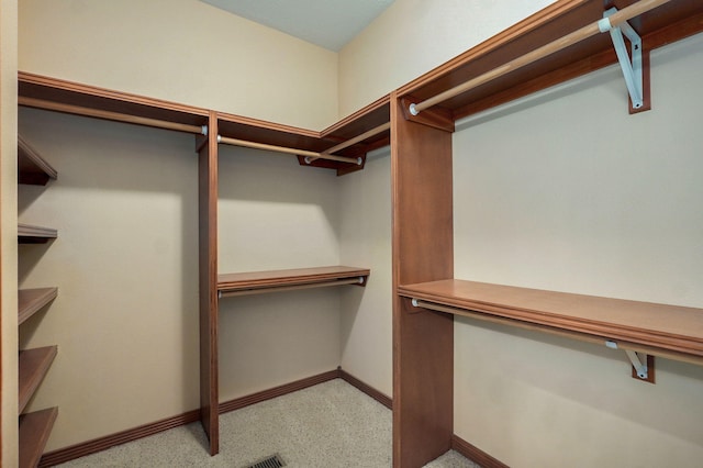 4520 English Ivy Ave, Springfield, MO 65804 - view of walk in closet