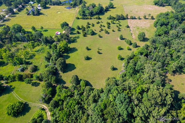 3331 US Highway 160, West Plains, MO 65775 - aerial view of sparsely populated area