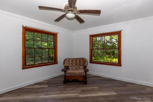 3331 US Highway 160, West Plains, MO 65775 - living area featuring a ceiling fan and dark wood-style floors
