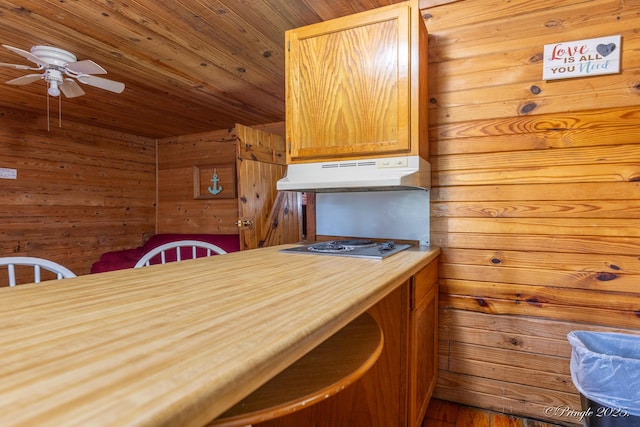 378 63rd Hwy S, Mammoth Spring, AR 72554 - dining space featuring wooden walls, a ceiling fan, and wood ceiling