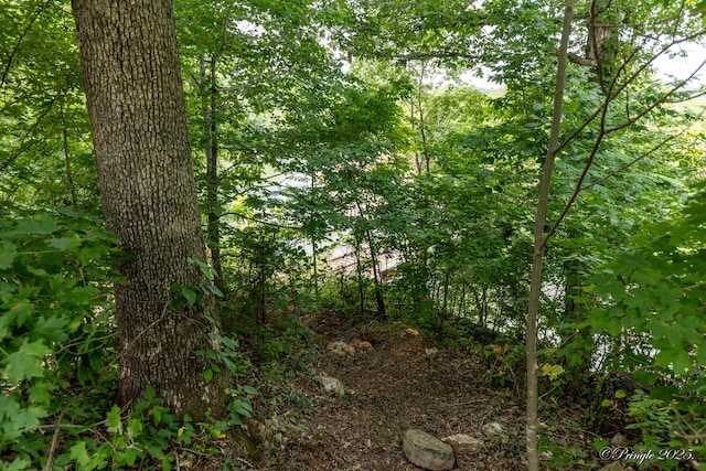 378 63rd Hwy S, Mammoth Spring, AR 72554 - view of tree filled area