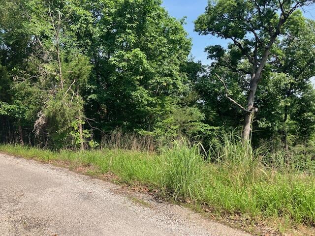 000 Holly Cir, Rockaway Beach, MO 65740