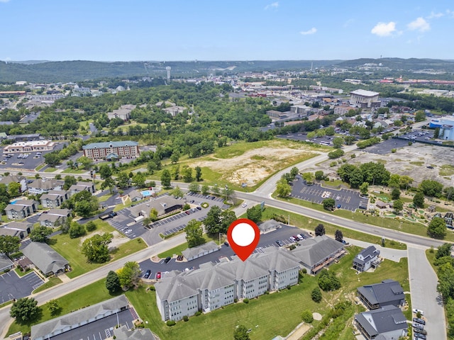 200 Glory Rd Unit 3, Branson, MO 65616 - aerial overview of property's location