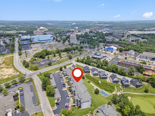 200 Glory Rd Unit 3, Branson, MO 65616 - view of property location