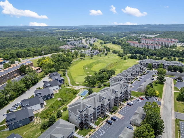 200 Glory Rd Unit 3, Branson, MO 65616 - bird's eye view of a golf club