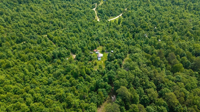 10315 Stella Way, Birch Tree, MO 65438 - photo 13
