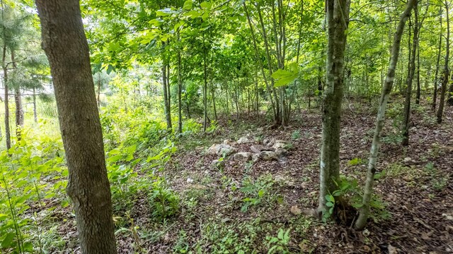10315 Stella Way, Birch Tree, MO 65438 - photo 10