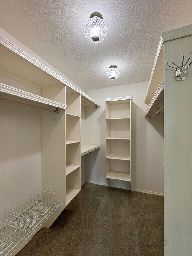 2133 E Cragmont St, Springfield, MO 65804 - walk in closet with carpet