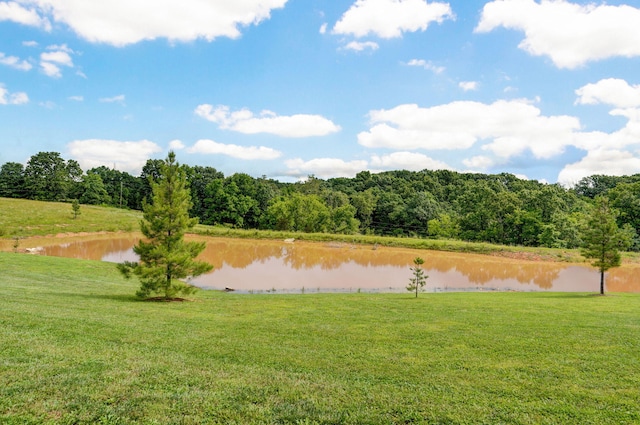 1721 Jackson Spring Rd, Ozark, MO 65721 - view of green lawn featuring a water view and a view of trees