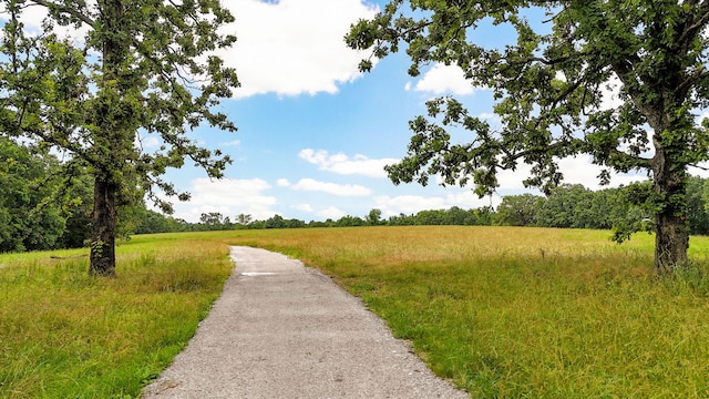 1721 Jackson Spring Rd, Ozark, MO 65721 - view of home's community