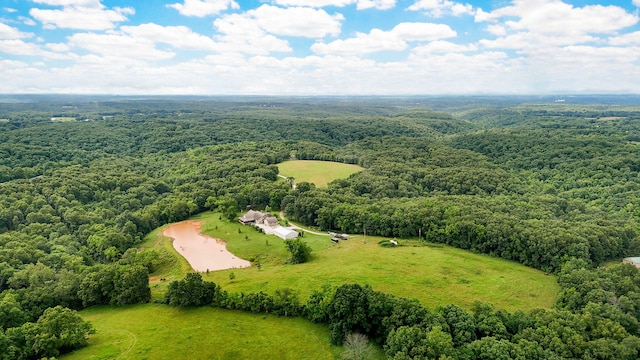 1721 Jackson Spring Rd, Ozark, MO 65721 - bird's eye view of a forest
