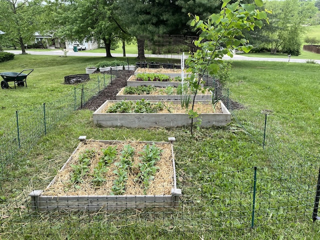 1014 Sassafras St, Willow Springs, MO 65793 - view of property's community with a garden