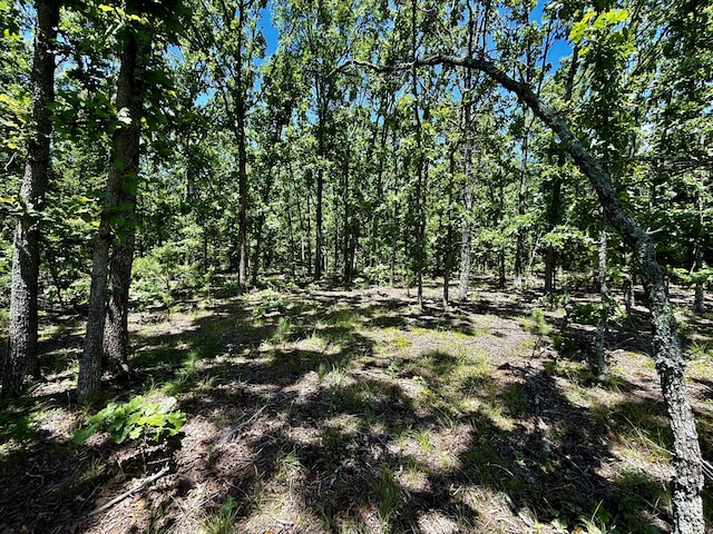 000 John David Dr, Licking, MO 65542