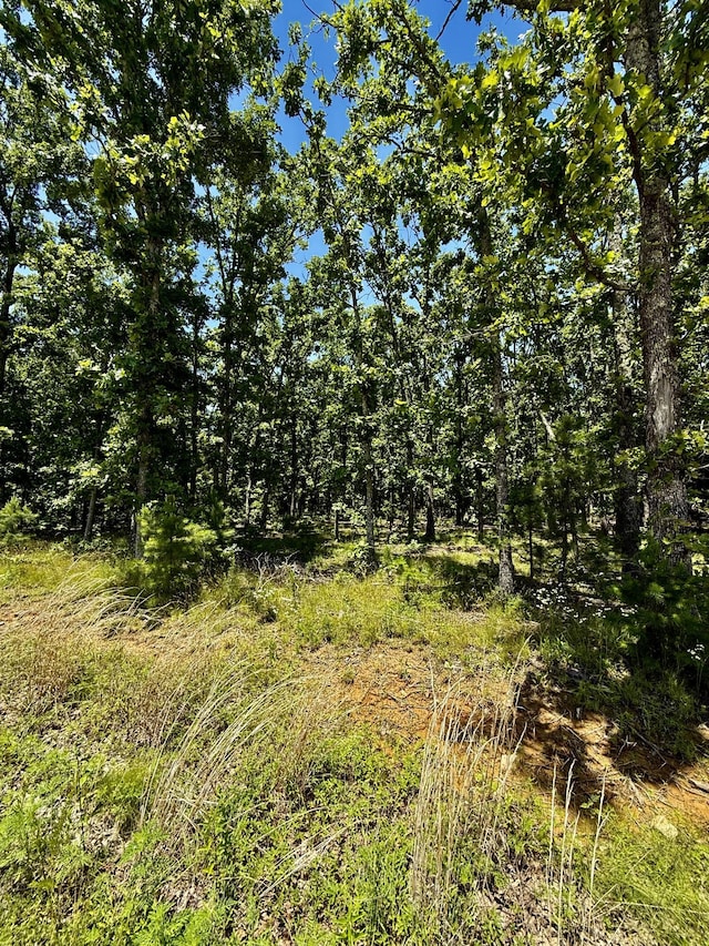 000 John David Dr, Licking, MO 65542