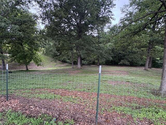 21572 Lawrence Unit 1240, Aurora, MO 65605 - view of yard