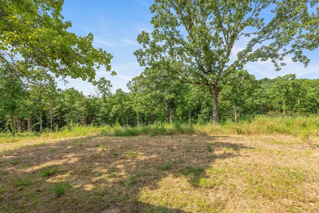 702 Norman Rd, Kirbyville, MO 65679 - photo 9