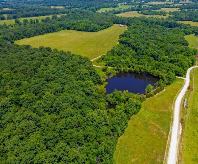 4949 S 196th Rd, Halfway, MO 65663 - bird's eye view of a large body of water and a heavily wooded area