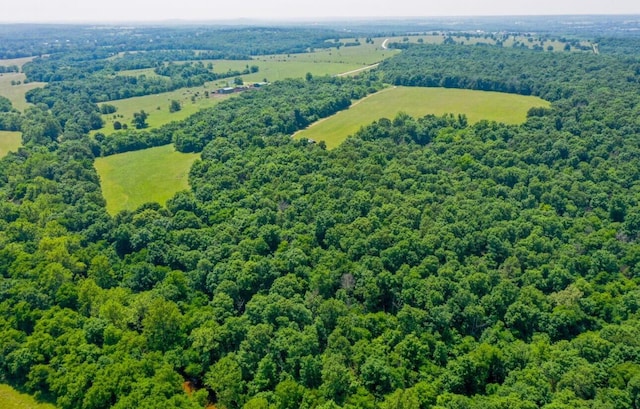 4949 S 196th Rd, Halfway, MO 65663 - bird's eye view