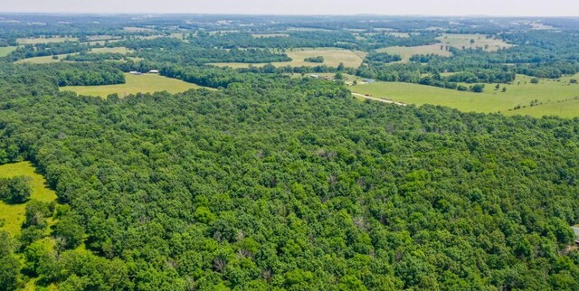 4949 S 196th Rd, Halfway, MO 65663 - drone / aerial view of a forest