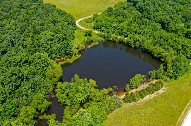 4949 S 196th Rd, Halfway, MO 65663 - bird's eye view of a nearby body of water and a forest