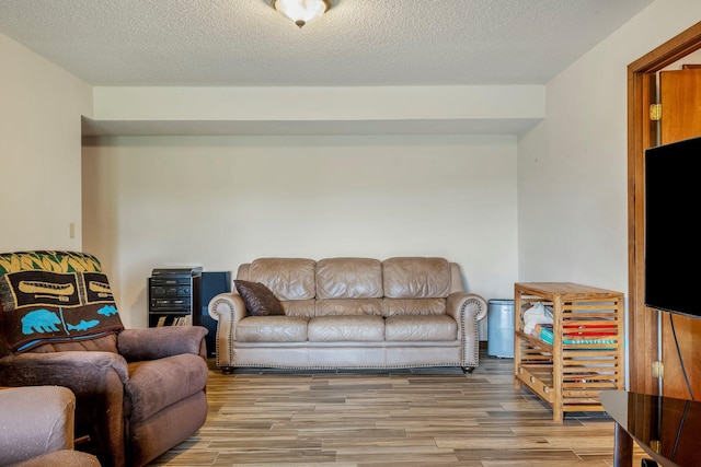 4949 S 196th Rd, Halfway, MO 65663 - living area with wood finished floors and a textured ceiling