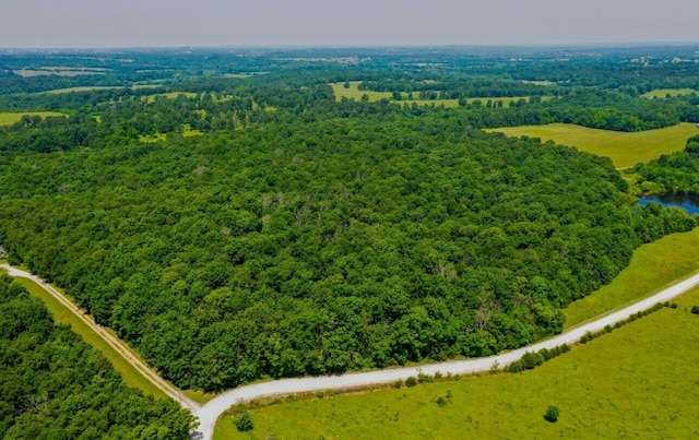 4949 S 196th Rd, Halfway, MO 65663 - bird's eye view of a forest