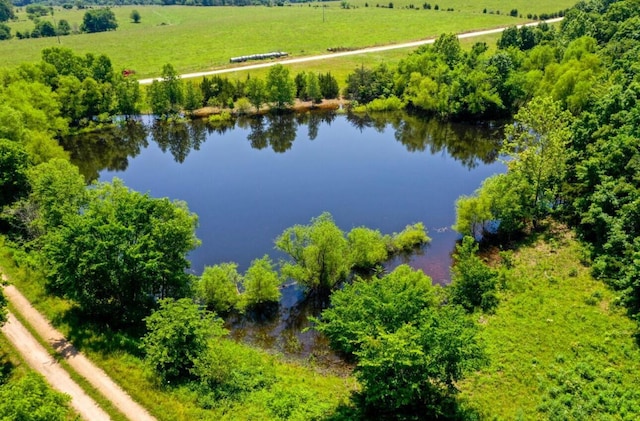 4949 S 196th Rd, Halfway, MO 65663 - bird's eye view of a large body of water