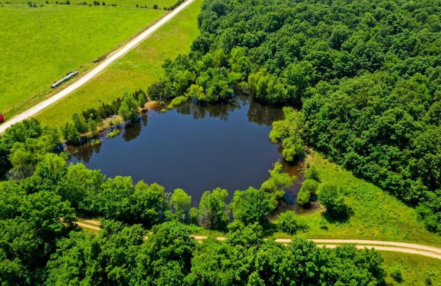 4949 S 196th Rd, Halfway, MO 65663 - bird's eye view of a large body of water