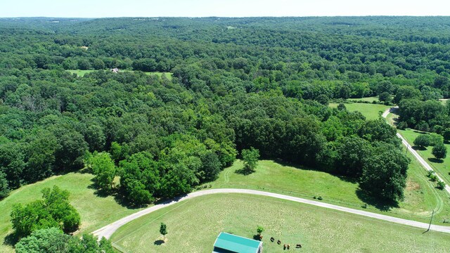 2042 Greasy Creek Ln, Washburn, MO 65772 - photo 45