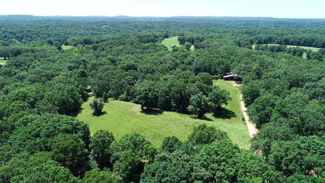 2042 Greasy Creek Ln, Washburn, MO 65772 - photo 43