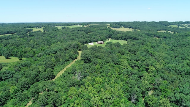 2042 Greasy Creek Ln, Washburn, MO 65772 - photo 49