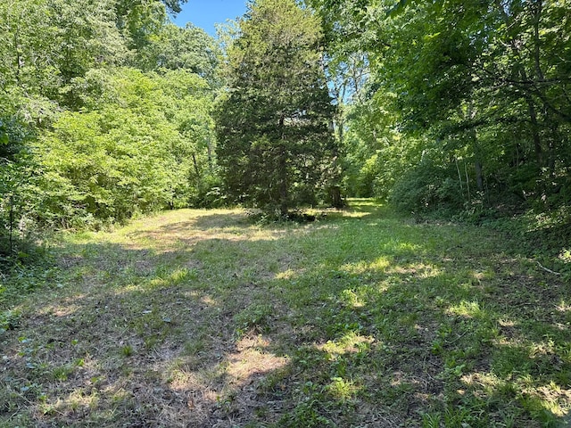 2042 Greasy Creek Ln, Washburn, MO 65772 - photo 39
