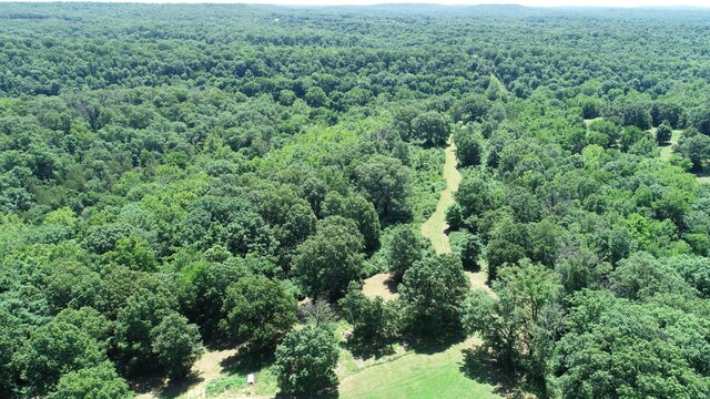 2042 Greasy Creek Ln, Washburn, MO 65772 - photo 47