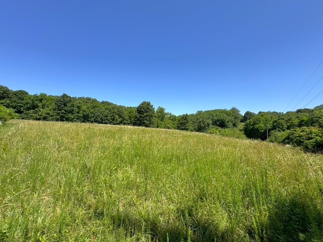 2042 Greasy Creek Ln, Washburn, MO 65772 - photo 32