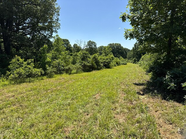 2042 Greasy Creek Ln, Washburn, MO 65772 - photo 38