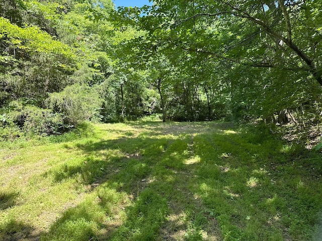 2042 Greasy Creek Ln, Washburn, MO 65772 - photo 34