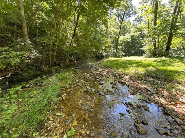 2042 Greasy Creek Ln, Washburn, MO 65772 - photo 54