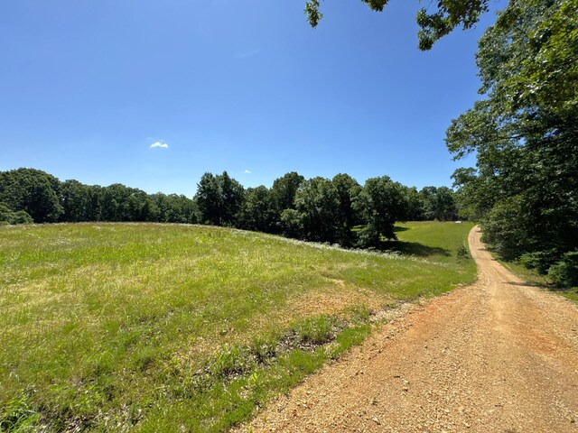 2042 Greasy Creek Ln, Washburn, MO 65772 - photo 40