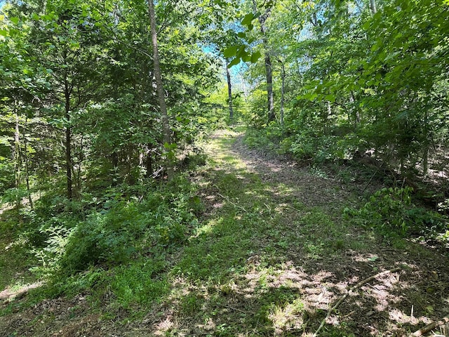 2042 Greasy Creek Ln, Washburn, MO 65772 - photo 53