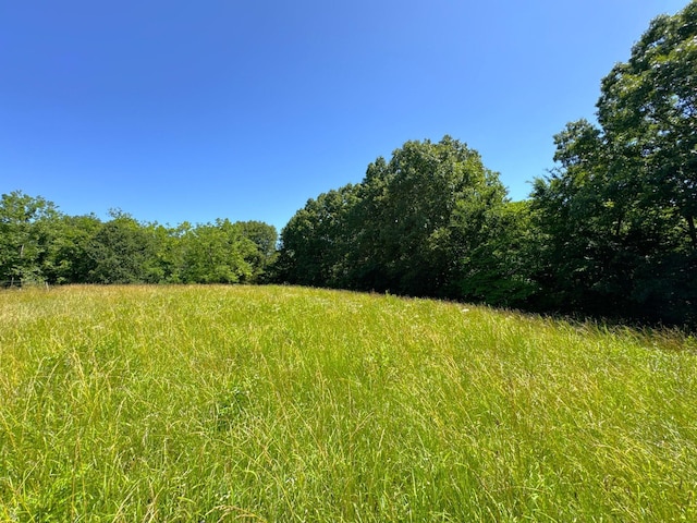 2042 Greasy Creek Ln, Washburn, MO 65772 - photo 37