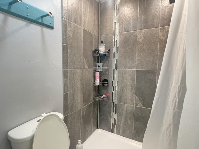 718 S Ridgecrest Ave, Nixa, MO 65714 - bathroom with tiled shower and toilet
