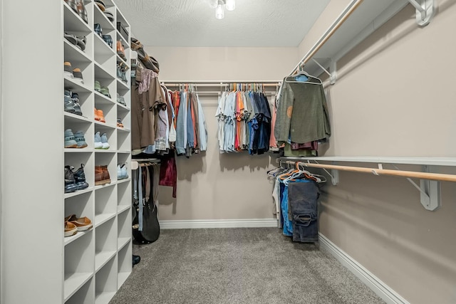 416 W Saddle Club Rd, Fair Grove, MO 65648 - spacious closet with carpet flooring