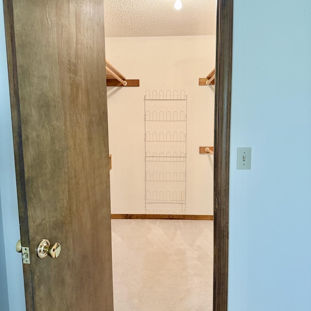 5435 State Highway 14, Sparta, MO 65753 - walk in closet featuring carpet floors