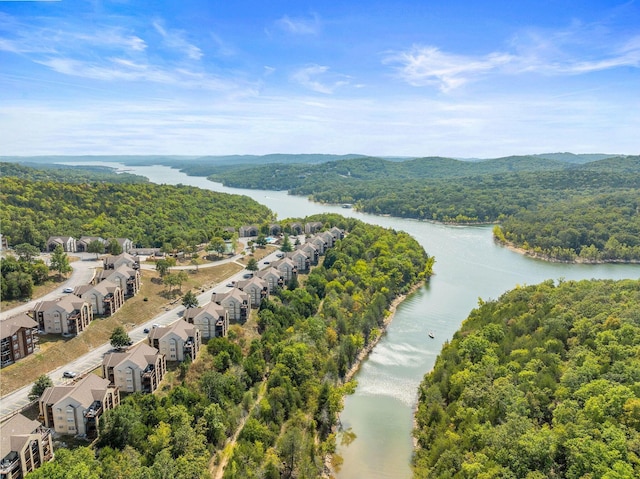bird's eye view of a forest and a large body of water